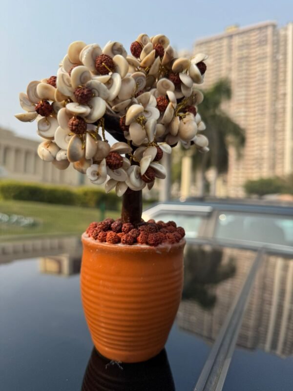 Cavacham Gomti Chakra Tree