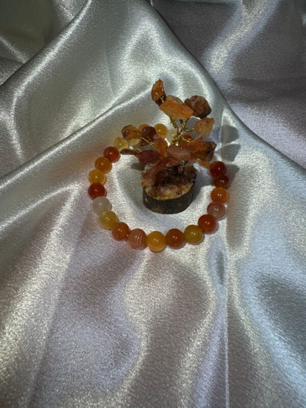 Cavacham Sunstone Tree